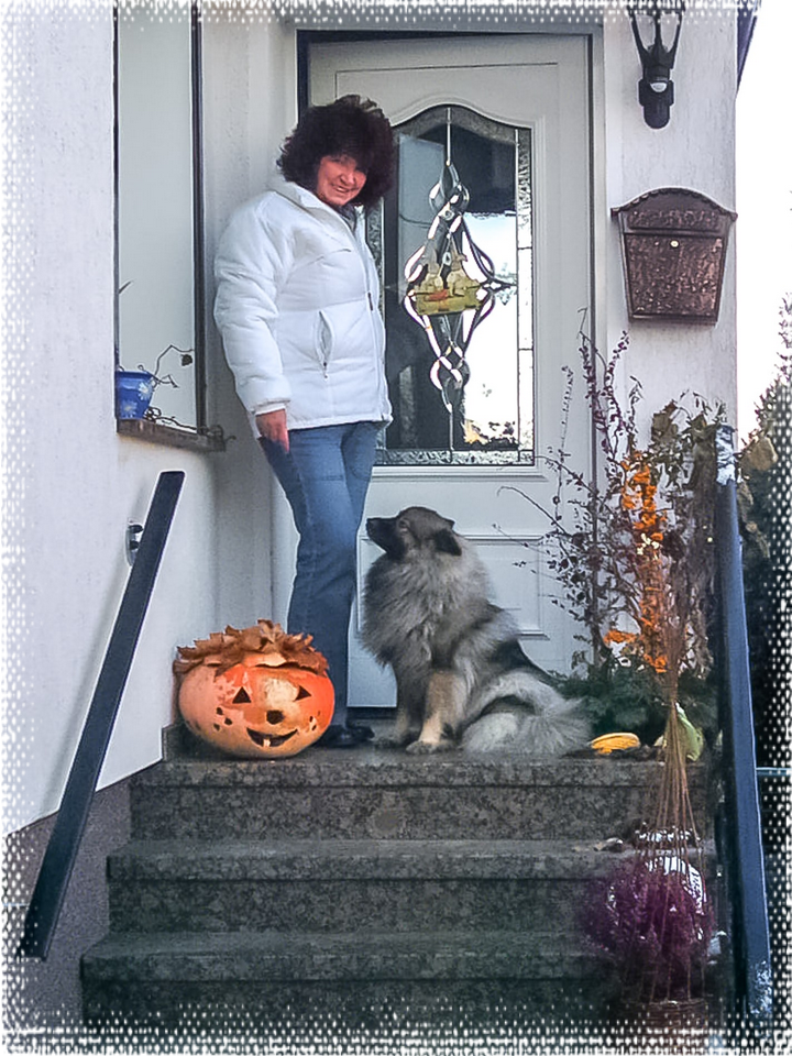 Ferienhaus Frau Haase Ferienhaus Frau Haase